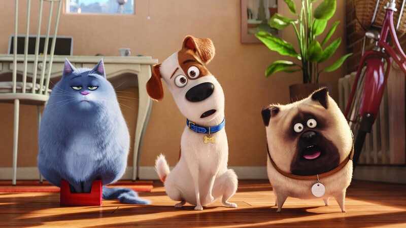 دانلود فیلم The Secret Life of Pets 2016 زندگی مخفی حیوانات