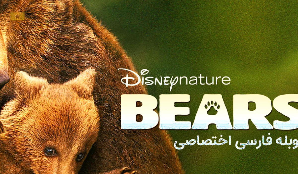 دانلود فیلم Bears 2014 خرس ها