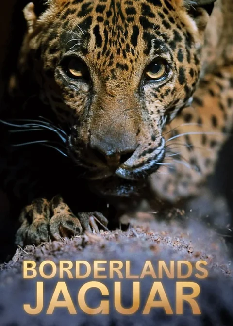 دانلود فیلم Borderlands Jaguar 2026 جگوار سرزمینهای مرزی دانلود فیلم Borderlands Jaguar 2026 جگوار سرزمینهای مرزی