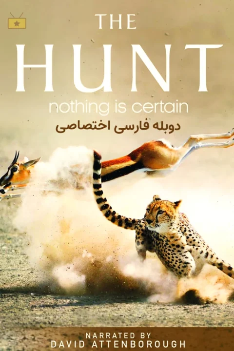 شکار